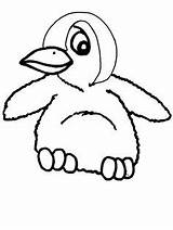 Coloring Pages Penguin Sheets Cute sketch template
