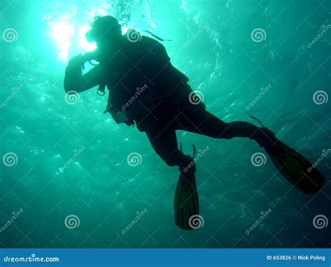 diver dropping  stock photo image  silhouette sport