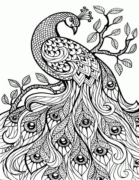coloring pages  adults printable easy  color animals coloring home