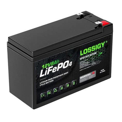 lossigy  ah lithium battery