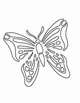 Butterfly Stencil Carving Printable Patterns Stencils Templates Pumpkin Designs Flower sketch template