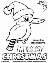 Christmas Coloring Pages Kookaburra Australian Aussie Svg Birdorable Merry Sheets Birds Kids Easy Laughing Drawing Tree Cute sketch template