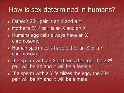 ppt notes 21 sex linked inheritance powerpoint presentation free download id 5655705