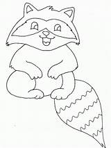Raccoon Coloring Pages Printable Kids Baby sketch template