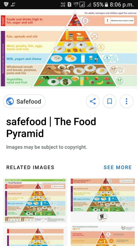draw  food pyramid brainlyin