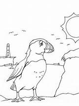 Papegaaiduikers Puffins sketch template