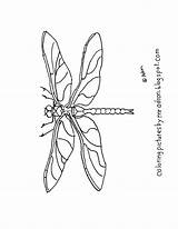 Dragonfly Coloring Printable Simple Pages Dragon Drawing Choose Board Coloringpagesbymradron sketch template