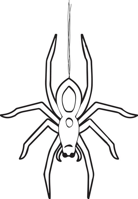 printable halloween spider coloring page  kids