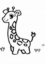 Coloring Giraffe Pages Baby Cute Printable Color Kids Easy Draw Print Drawings Pdf Animals Animal Looking Find Cartoon Disimpan Dari sketch template