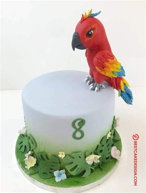 parrot cake design cake idea october  baby birthday cakes twin birthday birthday