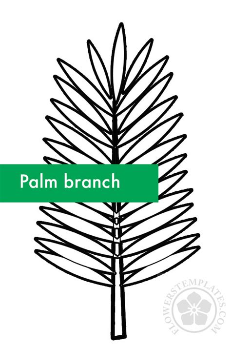 palm branch template  flowers templates