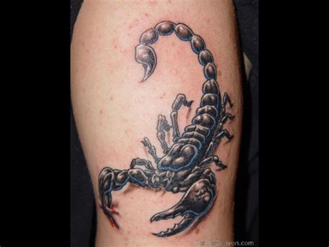 28 best girly scorpio tattoos images on pinterest