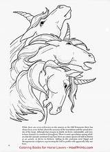 Coloring Unicorns Book Christy Shaffer Hoofprints Unit Price sketch template