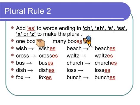 plural rules