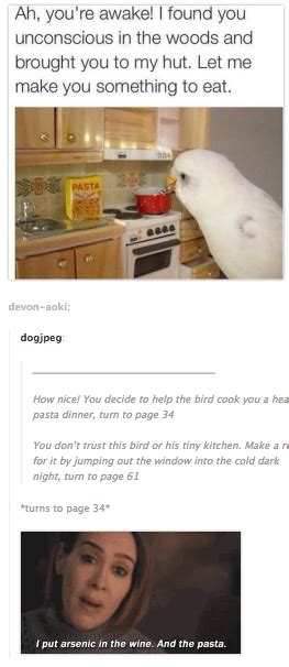 helpful bird arsenic in the wine and the pasta know your meme