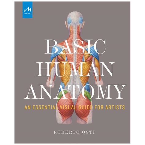 dynamic human anatomy  sale  stdibs dynamic human anatomy