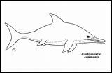 Ichthyosaurus Communis sketch template