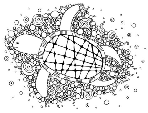 turtle  sea turtles adult coloring pages
