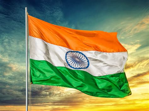 indian cricketers with national flag wallpapers download mobcup