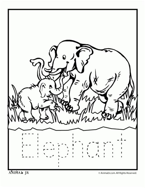 preschool printables  zoo coloring pages