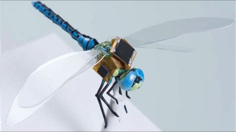 spy dragonfly drone youtube