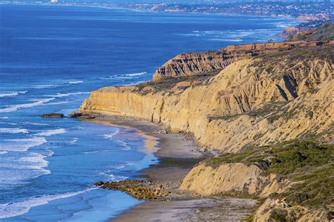 torrey pines state natural reserve la jolla usa attractions lonely planet