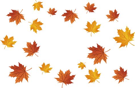 maple leaf maple leaves falling png