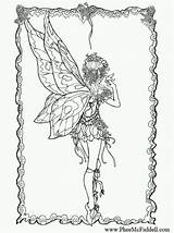 Fabelwesen Malvorlagen Drachen Phee Mcfaddell Fairyland Fairies Erwachsene 8x11 Malbuch sketch template