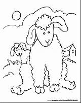 Lamb Coloring Pages Baby Lion Printable Getdrawings Color Drawing Getcolorings sketch template