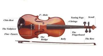 violin instrument overview parts history studycom