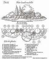 Plan Jardins Amenagement Massif Beaux Aménagement sketch template