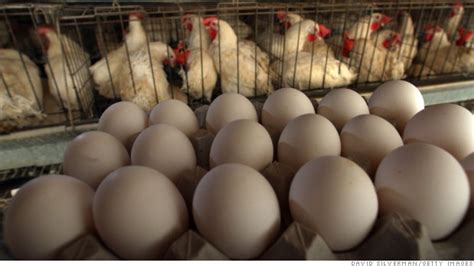 General Mills Says It Will Switch To Cage Free Eggs Jul 7 2015