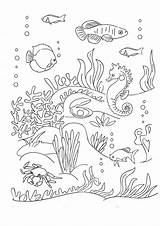 Coloring Seabed Pages Sea Illustration Book sketch template