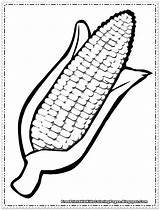 Corn Coloring Pages Cob Printable Cartoon Kids Clipart Color Thanksgiving Vegetable Cliparts Drawing Preschool Fall Clip Pre Library Fruit Printables sketch template