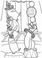 Madagascar Coloring Pages Penguins sketch template