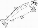 Salmon Spearfish Marlin Designlooter sketch template