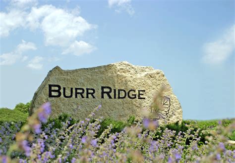 burr ridge park district