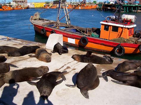 Una Visita Al Puerto De Mar Del Plata