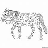 Coloring Adulte Horse Floral Doodle Pages Printable sketch template