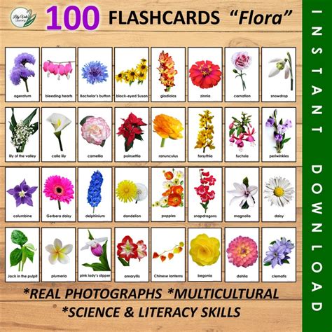 montessori printable flashcards flashcards flower etsy norway