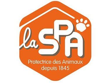 maison spa de bordeaux refuge pour chien association de protection