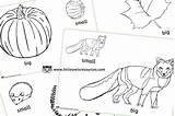 Eyfs Colouring Choose Board Autumn Early Resources Years Color sketch template