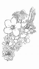 Wildflowers Getdrawings Drawing sketch template