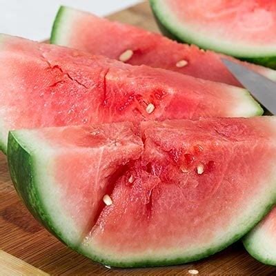 watermeloen telen onze tips de bolster biologische zaden