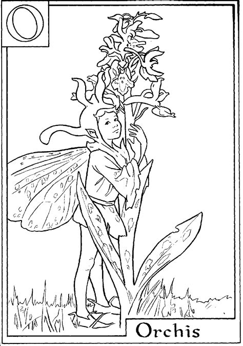 flower fairies coloring pages