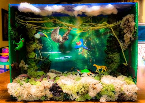 rainforest habitat diorama animals  printable habitats projects