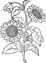 Read Embroidery Patterns sketch template