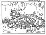Coloring Animal Pages Teens Cool Color Printable Getcolorings sketch template