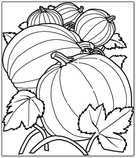 printable fall harvest coloring pages  getdrawings