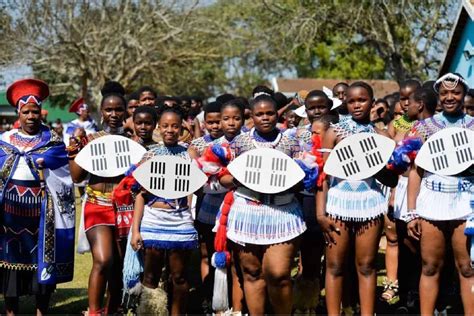 reed dance  systems   kzn   conflict